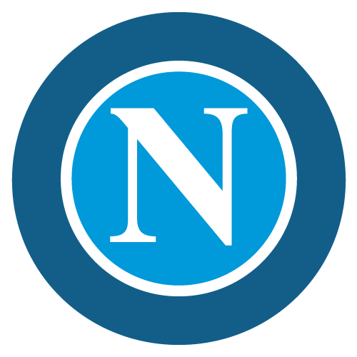 NAP logo